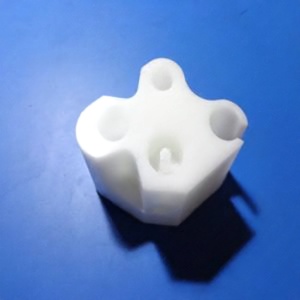 ENSAYO DE FIJACIÓN ENSAYO DE FIJACIÓN