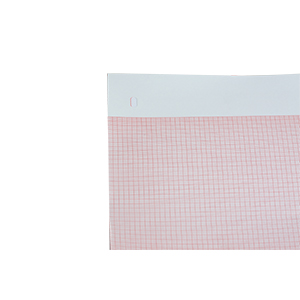 PAPEL TÉRMICO de 8, 5 "x 11", ÁREA de DATOS BLANCA DEL PACIENTE, REJILLA ROJA de 155 mm de ANCHO, PLIEGUE EN Z, FILA de ORIFICIOS, 300 HOJAS, 8 PAQUETES PAPEL TÉRMICO de 8, 5 "x 11", ÁREA de DATOS BLANCA DEL PACIENTE, REJILLA ROJA de 155 mm de ANCHO, PLIEGUE EN Z, FILA de ORIFICIOS, 300 HOJAS, 8 PAQUETES