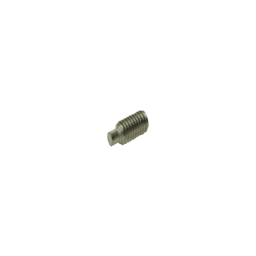 M4 X 10 Socket Set Dog PT Stainless Steel M4 X 10 Socket Set Dog PT Stainless Steel