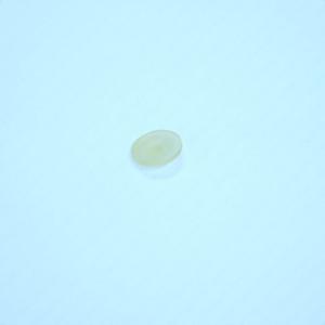 FILM VÁLVULA APL PARA BCG, Repuesto FILM VÁLVULA APL PARA BCG, Repuesto